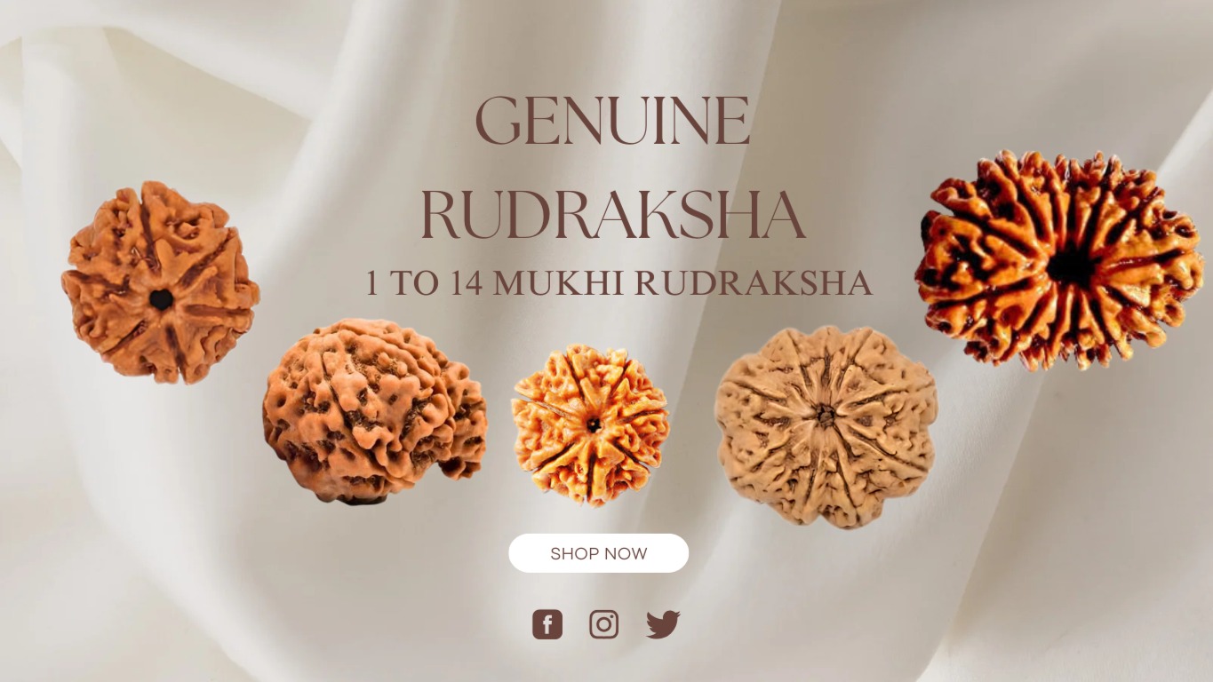 Main Banner Image 1